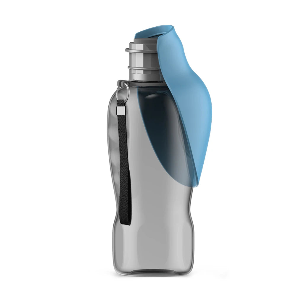 Gray water bottle with a blue cap on a white background