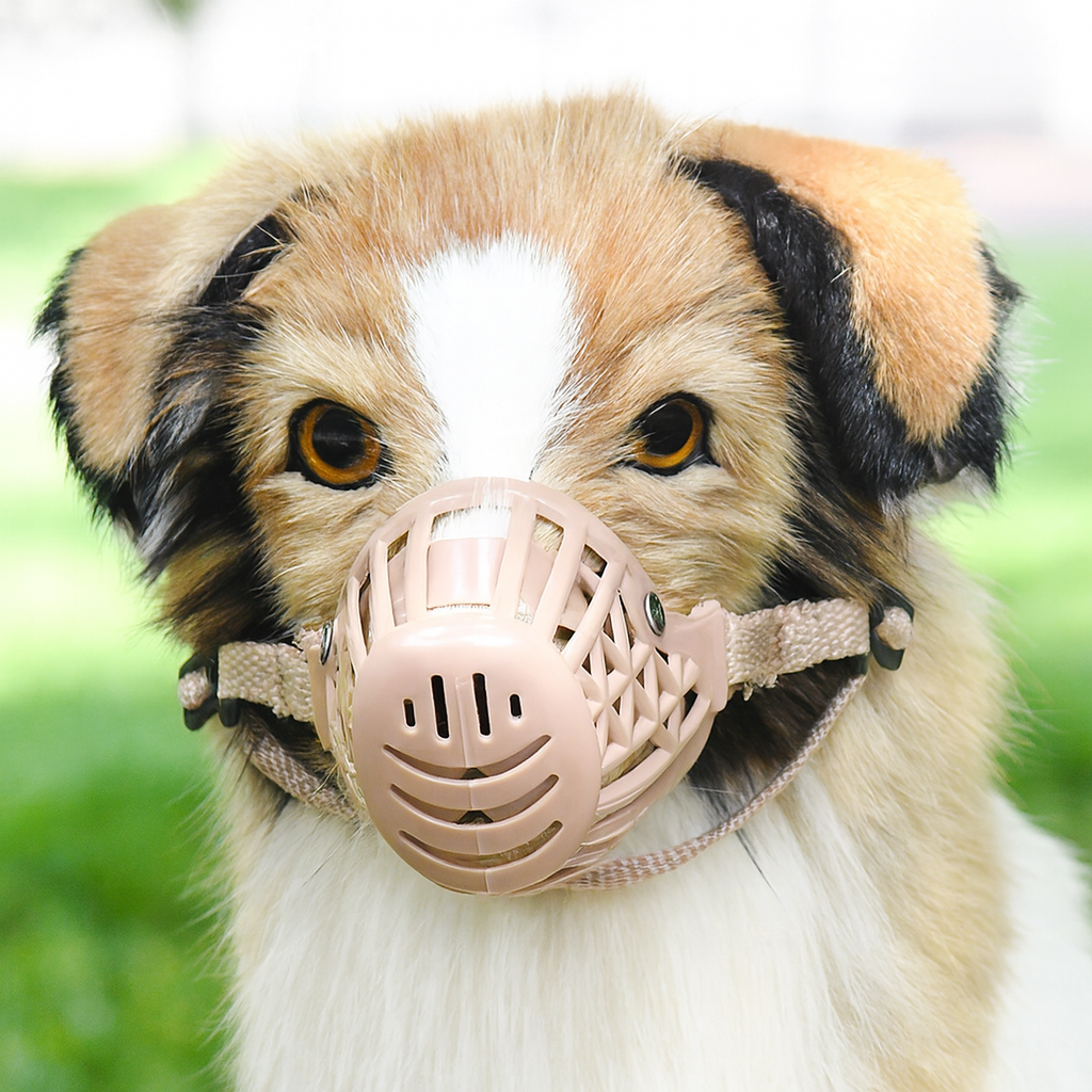 Dog wearing a pink muzzle with a blurred green background