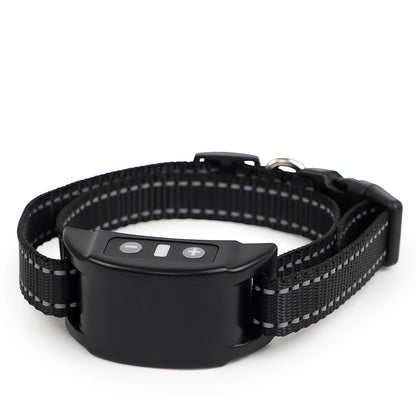 Black dog collar with electronic device on a white background