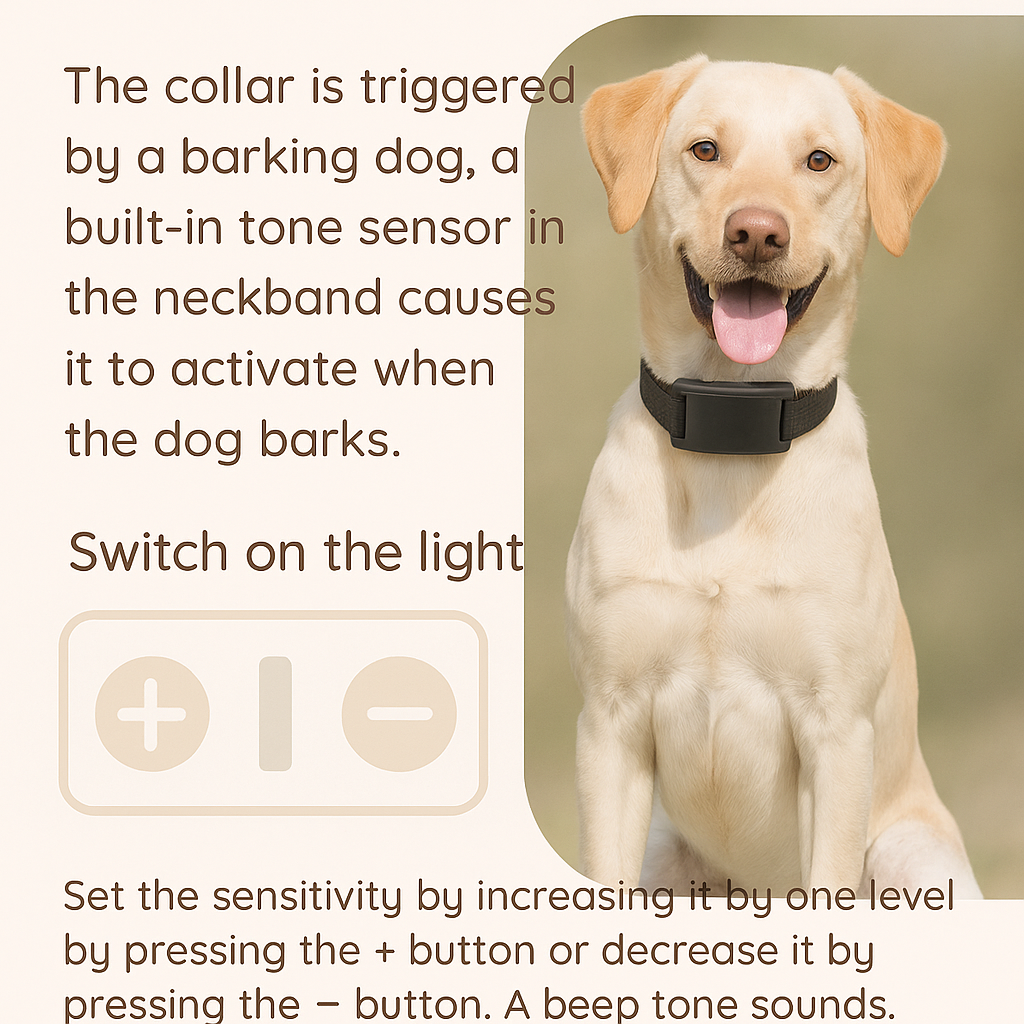 Dog wearing a collar with text explaining its features on a beige background