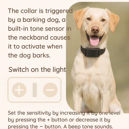Dog wearing a collar with text explaining its features on a beige background