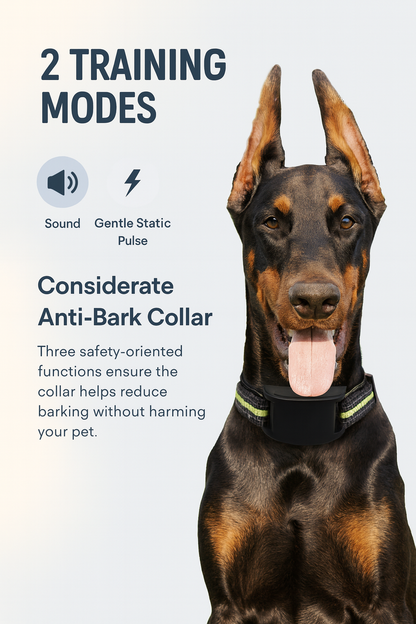 Dog wearing a considerate anti-bark collar with text about training modes on a light gray background