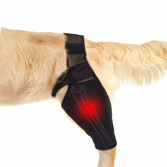 Universal Hip & Knee Brace for Dogs